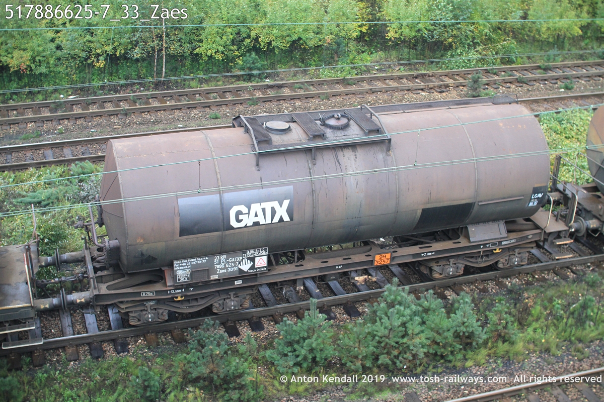 517886625-7_33_Zaes.JPG